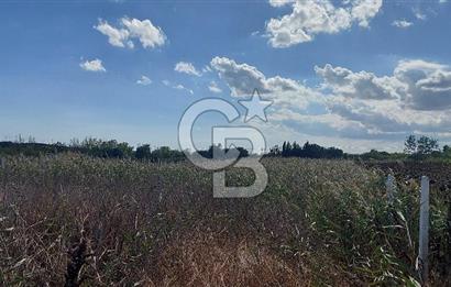 İstancul Silivri Çeltik Mah. Tem Otoyoluna Çok yakın Satılık 1082 M2 Tarla