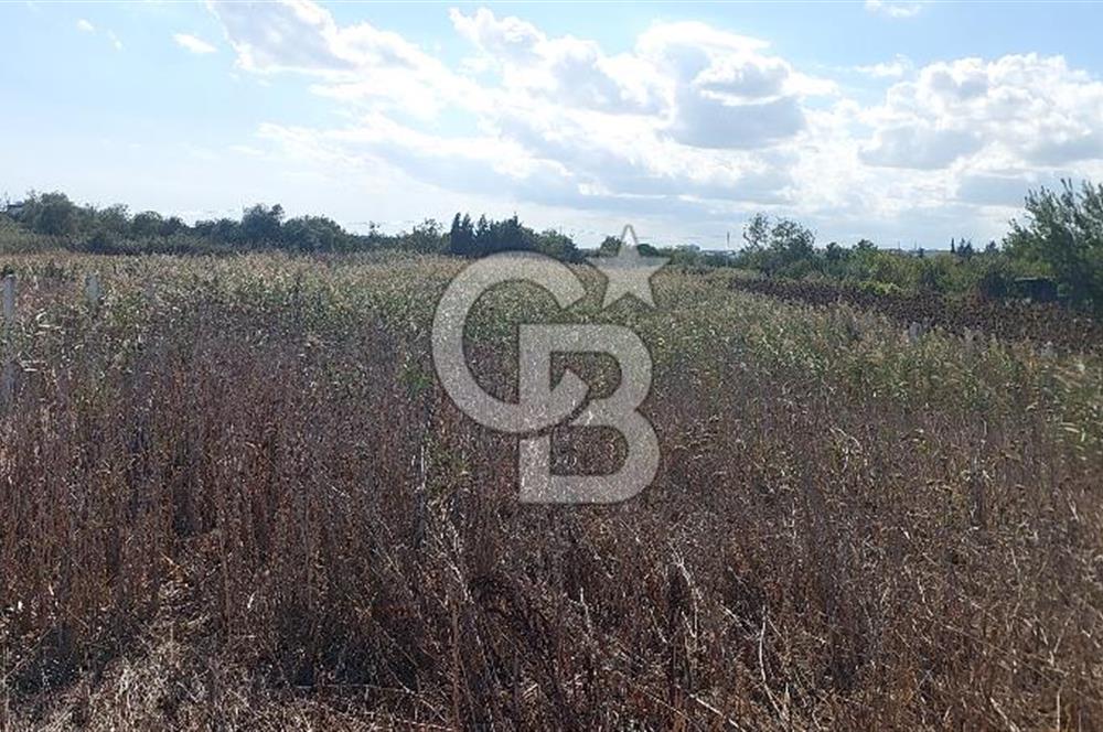 İstancul Silivri Çeltik Mah. Tem Otoyoluna Çok yakın Satılık 1082 M2 Tarla
