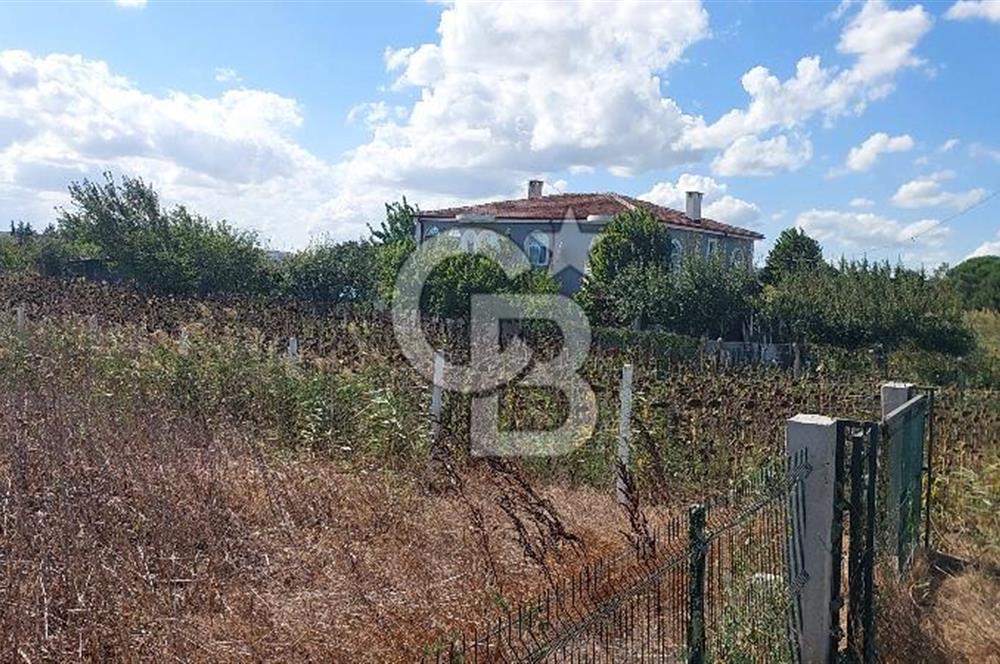İstancul Silivri Çeltik Mah. Tem Otoyoluna Çok yakın Satılık 1082 M2 Tarla