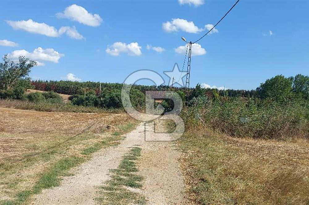 Silivri Çeltik’Te Tem Otoyola Çok yakın, Satılık 937 M2 Tarla