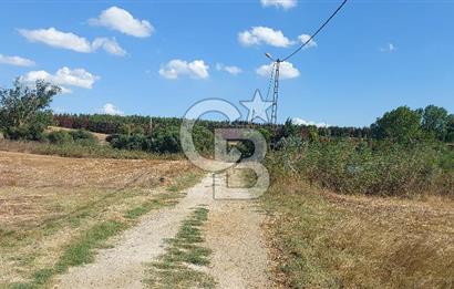 Silivri Çeltik’Te Tem Otoyola Çok yakın, Satılık 937 M2 Tarla