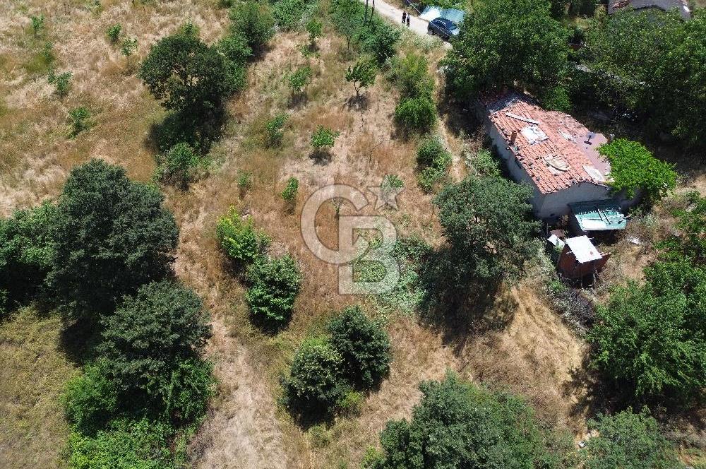MERKEZ ALANKÖYDE YERLEŞİK ALAN İÇERİSİNDE SATILIK 1 DÖNÜM TARLA