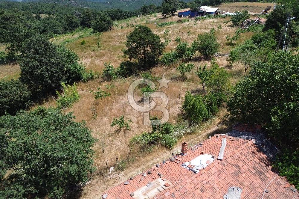MERKEZ ALANKÖYDE YERLEŞİK ALAN İÇERİSİNDE SATILIK 1 DÖNÜM TARLA
