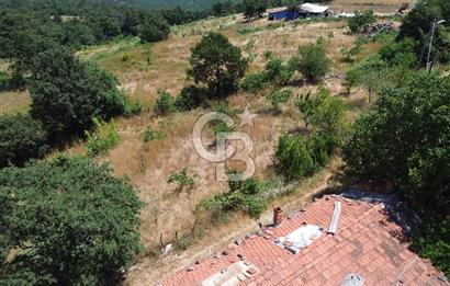 MERKEZ ALANKÖYDE YERLEŞİK ALAN İÇERİSİNDE SATILIK 1 DÖNÜM TARLA