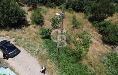 MERKEZ ALANKÖYDE YERLEŞİK ALAN İÇERİSİNDE SATILIK 1 DÖNÜM TARLA