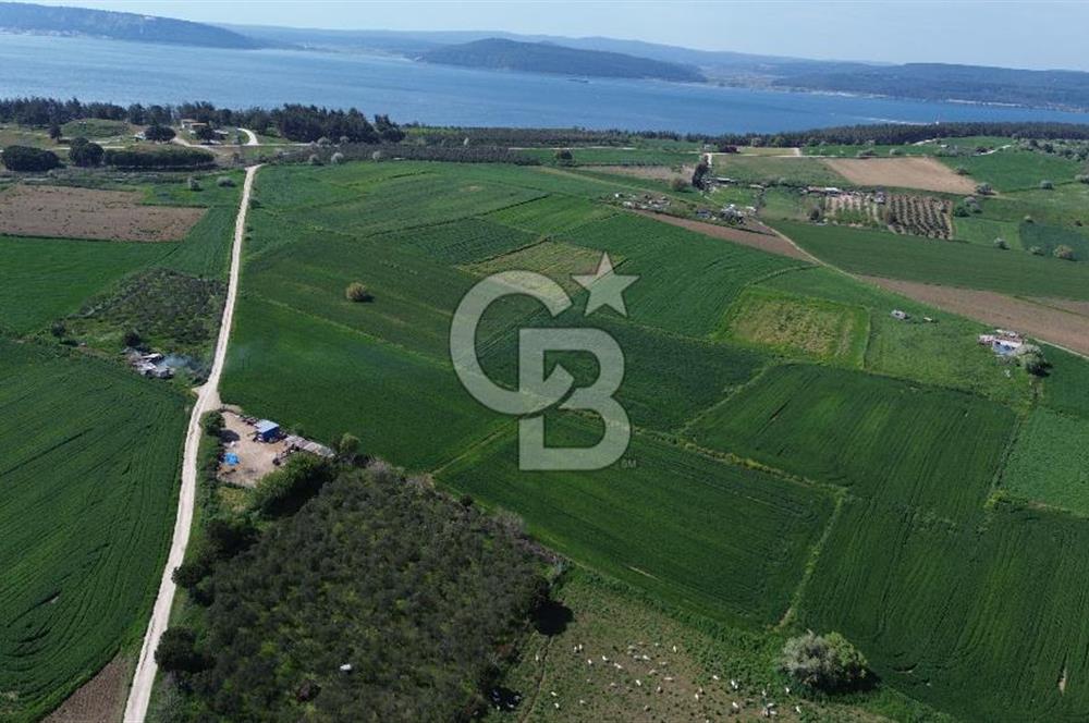 ÇANAKKALE CEVAT PAŞA MH.DE DOĞA İLE İÇ İÇE ARAZİ