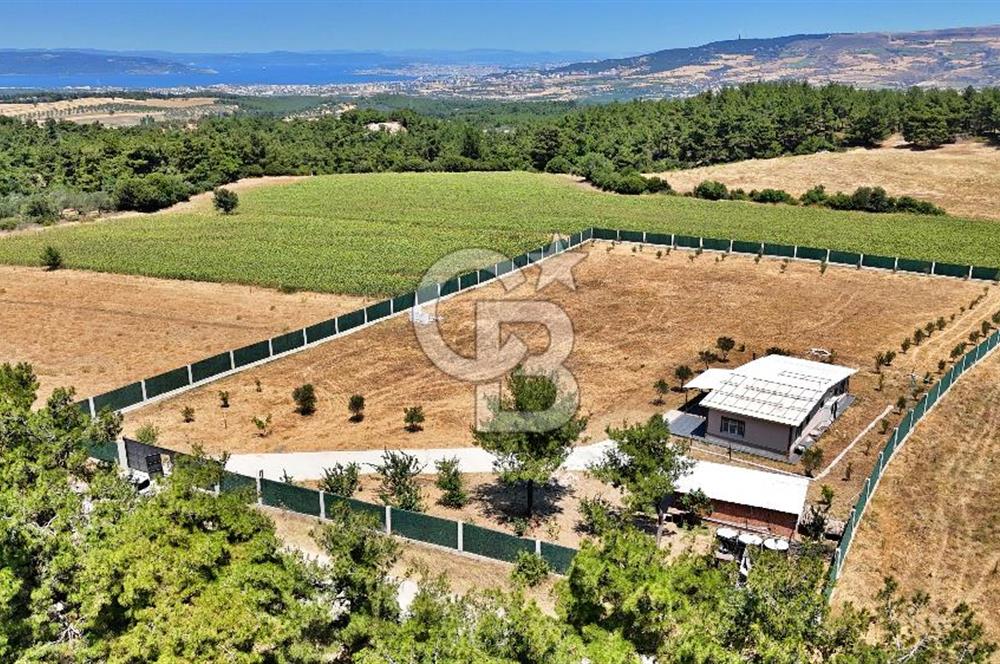 ÇINARLI'DA HUZUR DOLU BİR YAŞAM KENDİNİZ ÖZEL ALANINIZI YARATIN