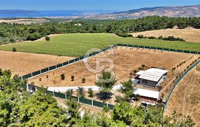 ÇINARLI'DA HUZUR DOLU BİR YAŞAM KENDİNİZ ÖZEL ALANINIZI YARATIN