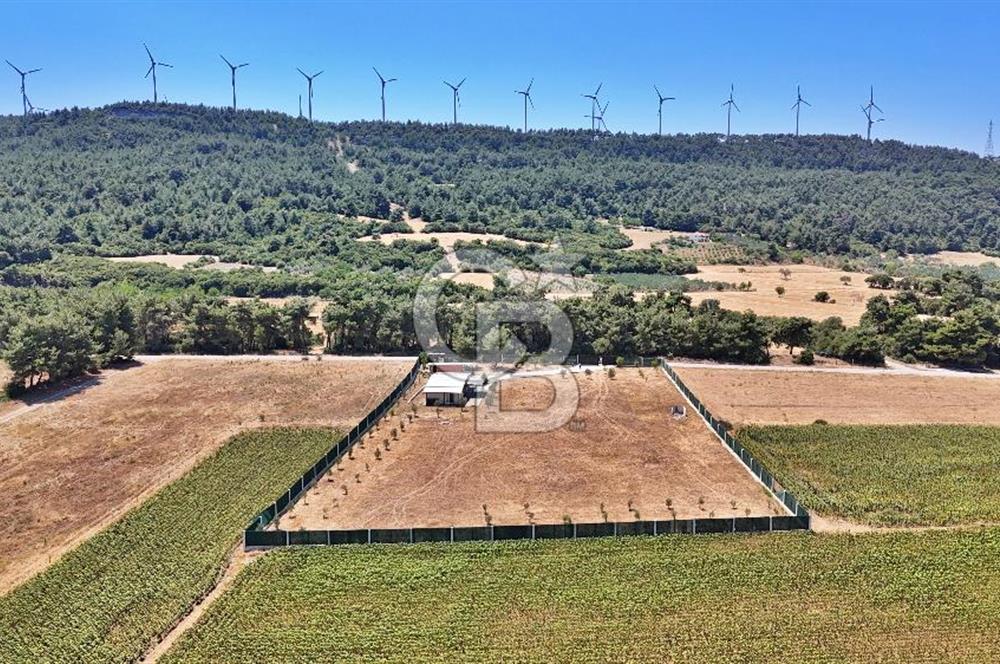 ÇINARLI'DA HUZUR DOLU BİR YAŞAM KENDİNİZ ÖZEL ALANINIZI YARATIN