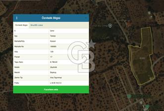 TORBALI , KARAOT KÖYÜNDE , ÖNÜ AÇIK ZEYTİNLİK - 9 - 372310