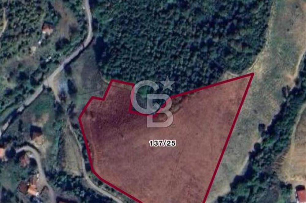 YALOVA BURHANİYE'DE 20.073 M² SATILIK TARLA