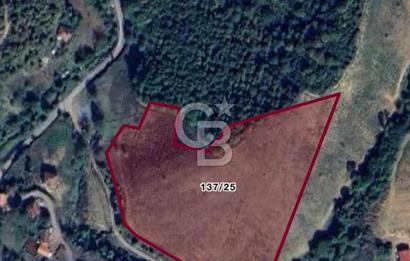 YALOVA BURHANİYE'DE 20.073 M² SATILIK TARLA