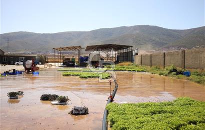 İZMİR TORBALI DA SATILIK ÜRETİM TESİS ALANI