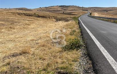 CB SITKI ŞİMŞEK'TEN PURSAKLAR PEÇENEK YATIRIMLIK HİSSELİ TARLA