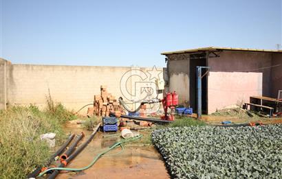 İZMİR TORBALI DA SATILIK ÜRETİM TESİS ALANI