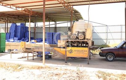 İZMİR TORBALI DA SATILIK ÜRETİM TESİS ALANI