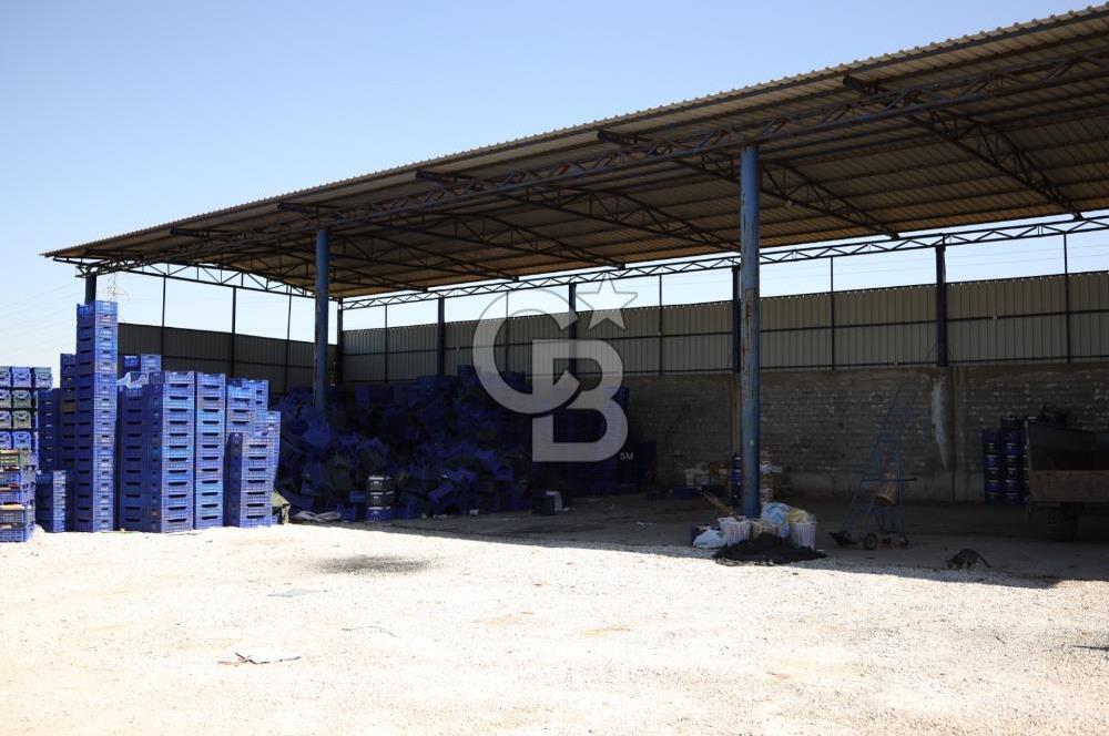 İZMİR TORBALI DA SATILIK ÜRETİM TESİS ALANI