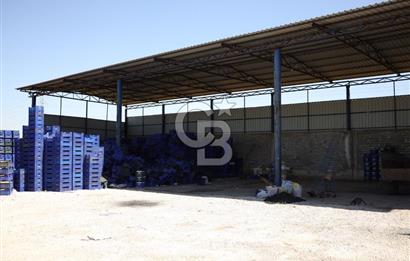 İZMİR TORBALI DA SATILIK ÜRETİM TESİS ALANI