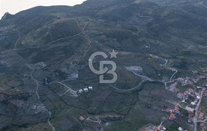 DATÇA YAZI MAHALLESİ NDE CB ARDEN DEN 742 M² SATILIK TARLA
