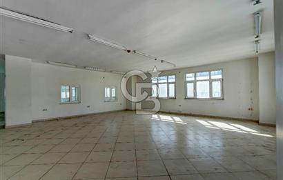 Pendik Ankara Cad Yakın Şirin Sk. 227 m2 Kiralık Depo, Atölye! 
