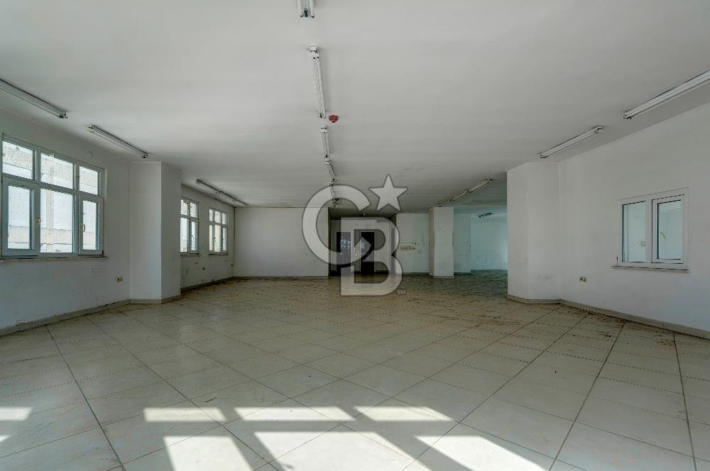 Pendik Ankara Cad Yakın Şirin Sk. 227 m2 Kiralık Depo, Atölye! 