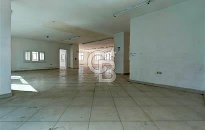 Pendik Ankara Cad Yakın Şirin Sk. 227 m2 Kiralık Depo, Atölye! 
