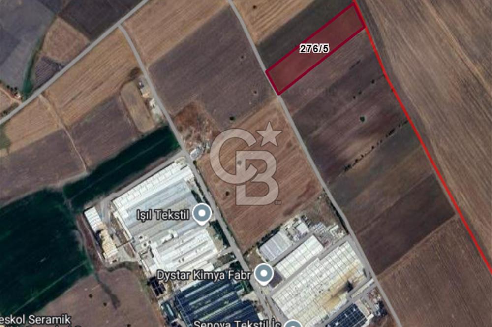 Tekirdağ Ergene Vakıflar'da OSB İmar Sınırında Satılık Tarla