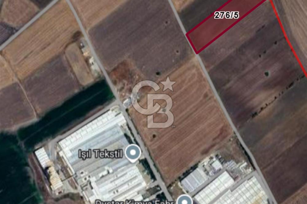 Tekirdağ Ergene Vakıflar'da OSB İmar Sınırında Satılık Tarla