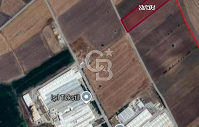 Tekirdağ Ergene Vakıflar'da OSB İmar Sınırında Satılık Tarla
