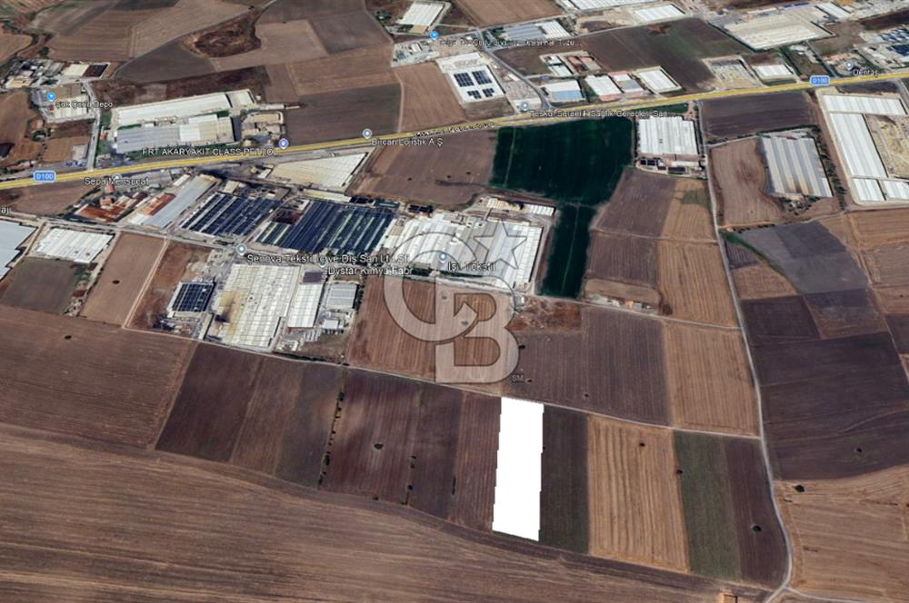 Tekirdağ Ergene Vakıflar'da OSB İmar Sınırında Satılık Tarla