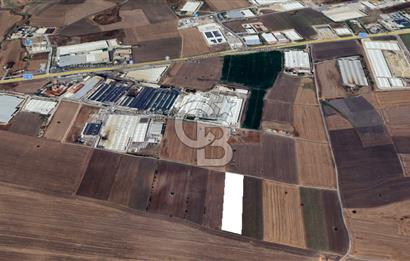 Tekirdağ Ergene Vakıflar'da OSB İmar Sınırında Satılık Tarla