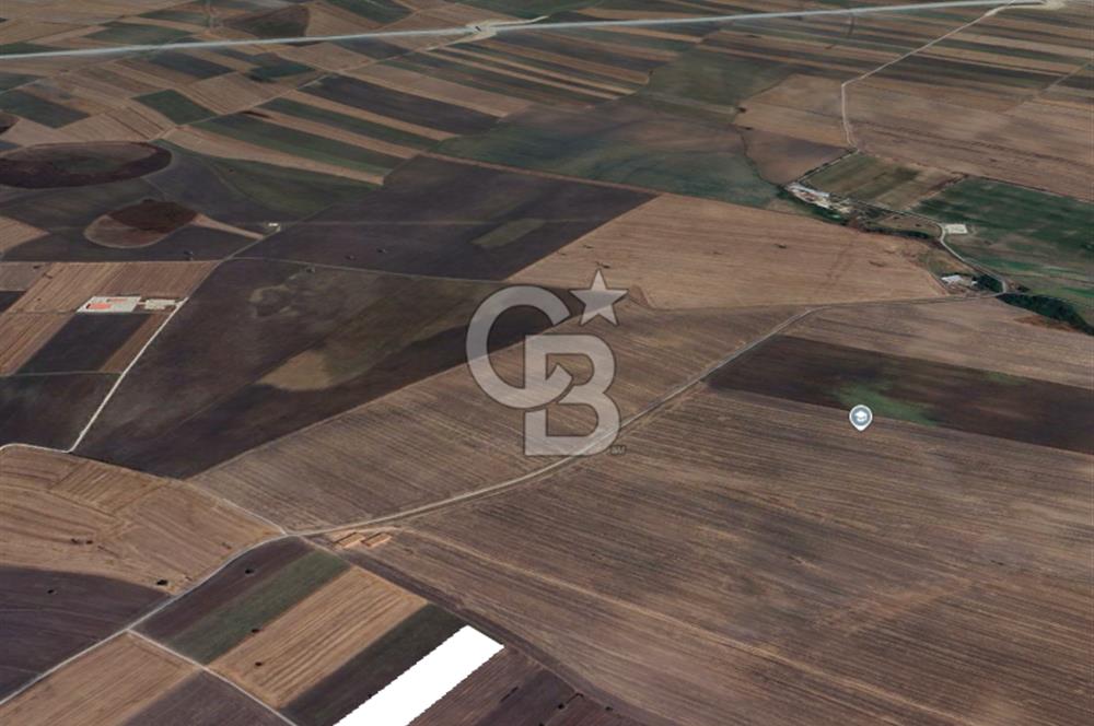 Tekirdağ Ergene Vakıflar'da OSB İmar Sınırında Satılık Tarla