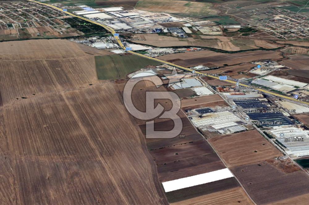 Tekirdağ Ergene Vakıflar'da OSB İmar Sınırında Satılık Tarla