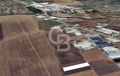 Tekirdağ Ergene Vakıflar'da OSB İmar Sınırında Satılık Tarla