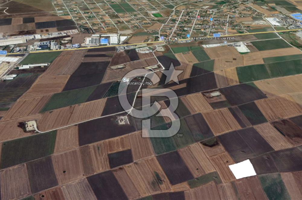 Tekirdağ Ergene Vakıflar'da Satılık Tarla
