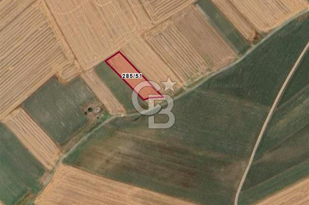 Tekirdağ Ergene Vakıflar Satılık Tarla