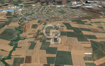 Tekirdağ Ergene Vakıflar Satılık Tarla
