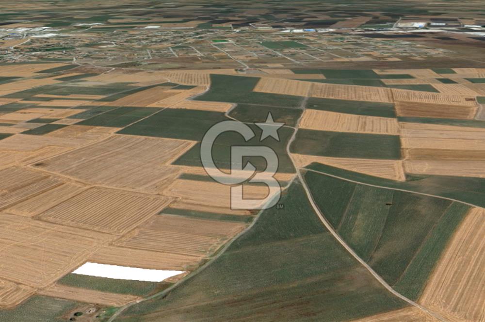 Tekirdağ Ergene Vakıflar Satılık Tarla