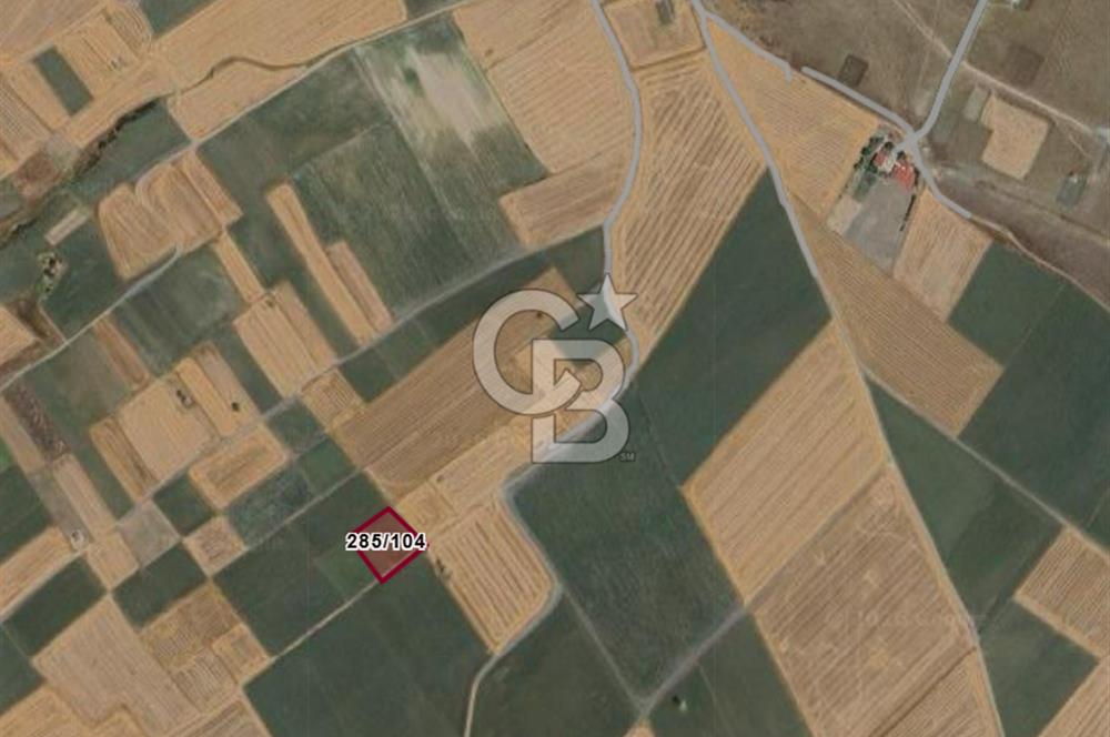 Tekirdağ Ergene Vakıflar'da Satılık Tarla