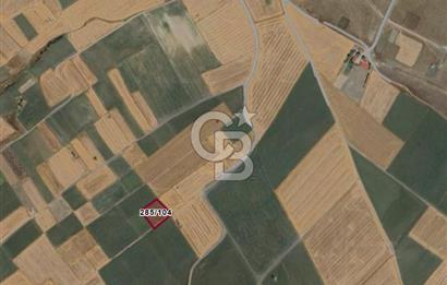 Tekirdağ Ergene Vakıflar'da Satılık Tarla