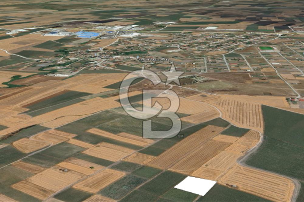 Tekirdağ Ergene Vakıflar'da Satılık Tarla