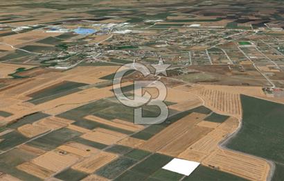 Tekirdağ Ergene Vakıflar'da Satılık Tarla