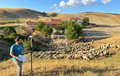 Manisa Selendi Merkeze Yakın 22 Dönüm Yatırımlık Satılık Tarla