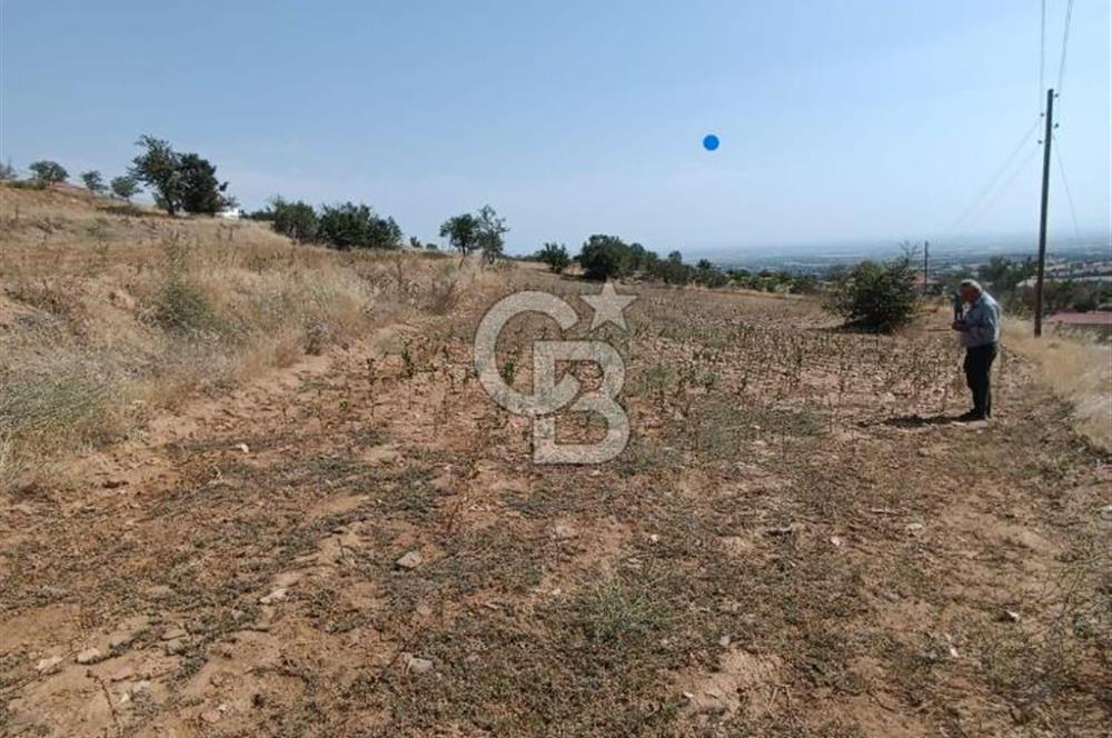 Uşak Eşme'de 2071 M2 İmarlı Yola Cepheli Kupon Satılık Tarla