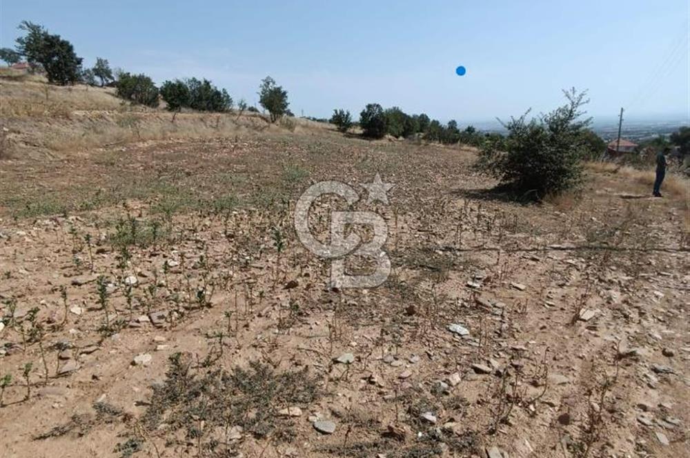 Uşak Eşme'de 2071 M2 İmarlı Yola Cepheli Kupon Satılık Tarla
