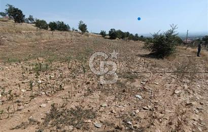 Uşak Eşme'de 2071 M2 İmarlı Yola Cepheli Kupon Satılık Tarla