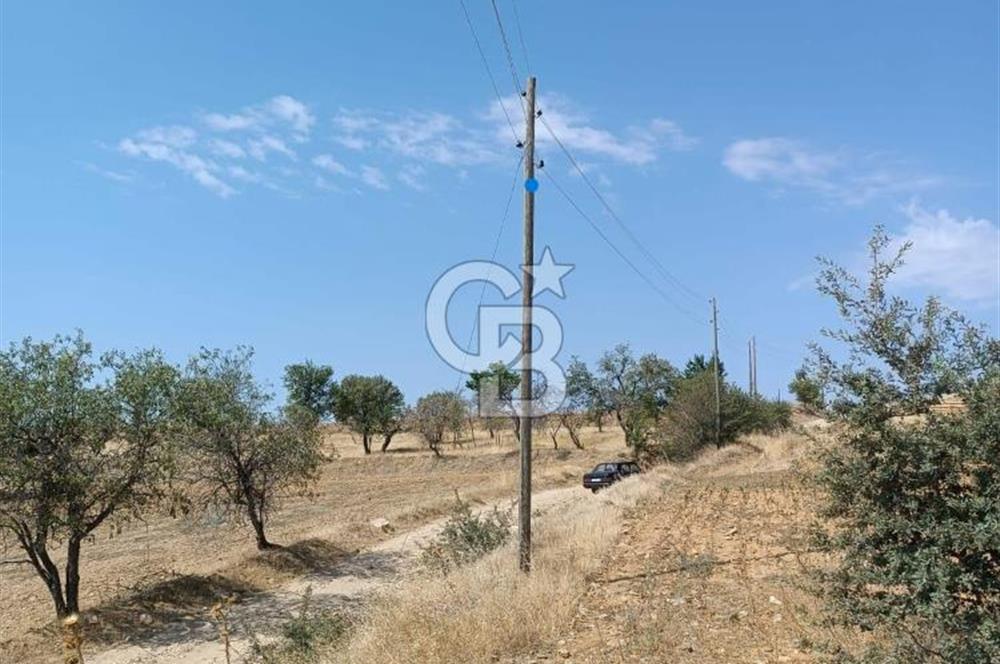 Uşak Eşme'de 2071 M2 İmarlı Yola Cepheli Kupon Satılık Tarla