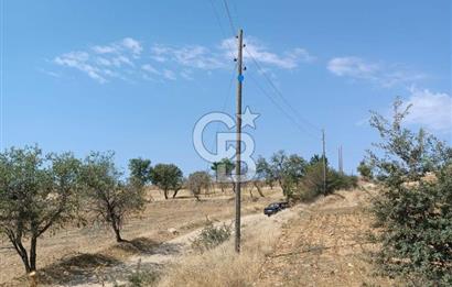 Uşak Eşme'de 2071 M2 İmarlı Yola Cepheli Kupon Satılık Tarla
