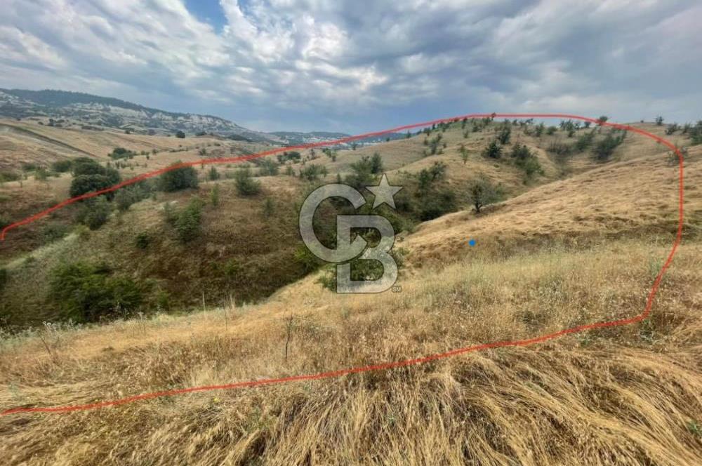 Manisa Selendi Merkeze Yakın 22 Dönüm Yatırımlık Satılık Tarla