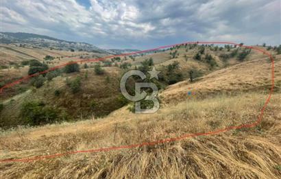 Manisa Selendi Merkeze Yakın 22 Dönüm Yatırımlık Satılık Tarla